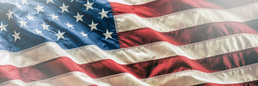 Liberty Wire Flag